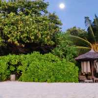 Unveiling the Essence of Maldives