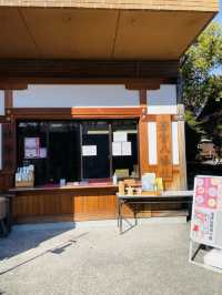 【愛知県】名古屋の総鎮守「若宮八幡社」を参拝
