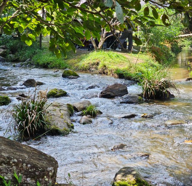 ลานกางเต้นท์ ใจกลางขุนกลาง ดอยอินทนนท์