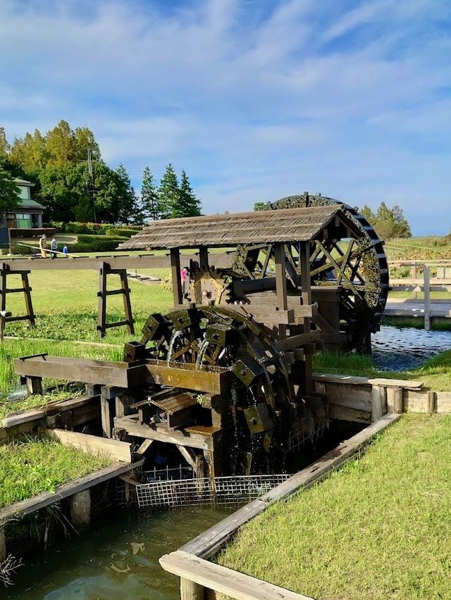 Tsuchiura City Kasumigaura Comprehensive Park