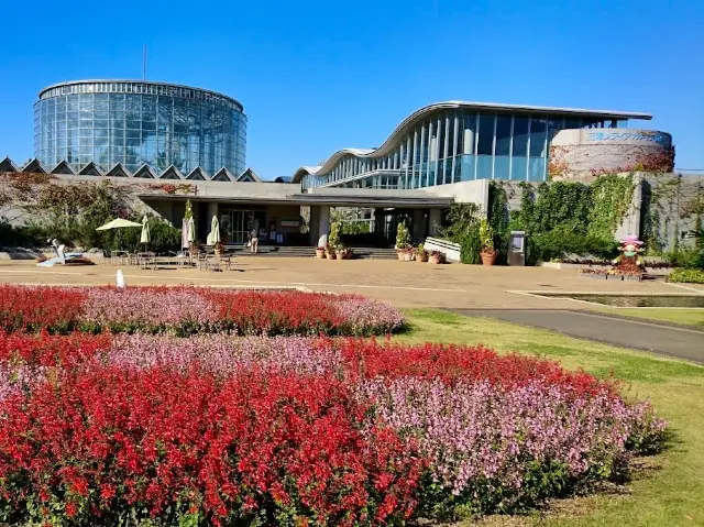 稲毛海浜公園。