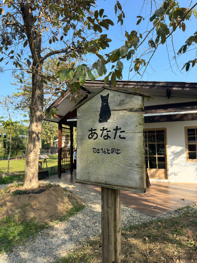 📍"อะนะตะการ์เด้นชิล" จุดเช็คอินใหม่ในลำพูน