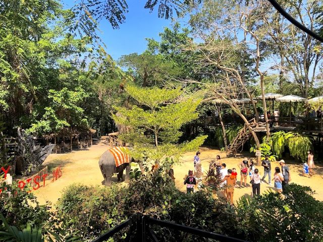 Pattaya Elephant Village