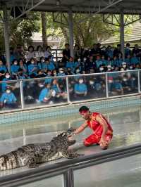 ขี่งวงช้าง ถ่ายรูปกับเสือ ชมโชว์จระเข้ที่พัทยา🐊