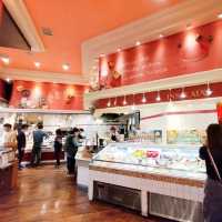 春の岐阜旅🌸さくらの街『岐阜』でおすすめのグルメ旅