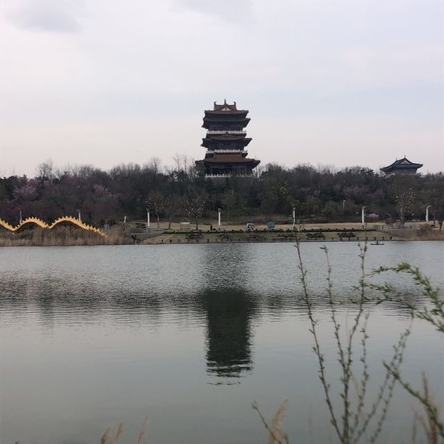 【免費進場】風景如畫的園博園，適合晚上七時前來