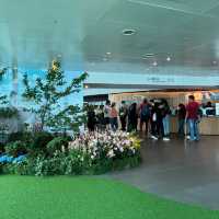 【台湾】Taipei101展望台から台北を見下ろす✨