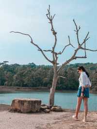 เที่ยวหน้าร้อน ที่ไม่ร้อน ณ อ่างเก็บน้ำสายศร