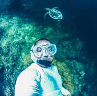 Taking a selfie with a turtle 