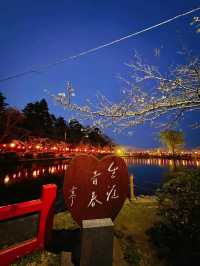 【千葉】今週末が見頃!!桜の名所100選の穴場お花見スポット