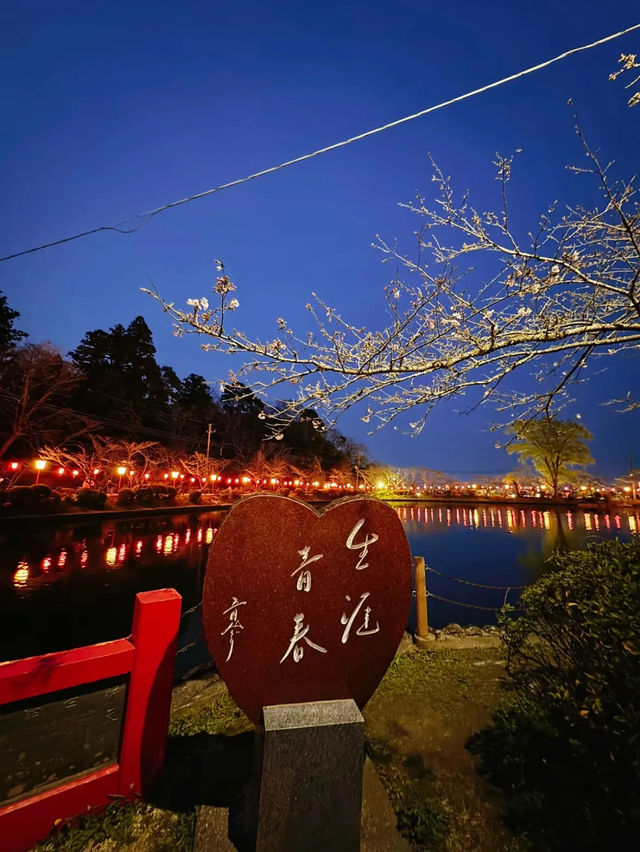 【千葉】今週末が見頃!!桜の名所100選の穴場お花見スポット