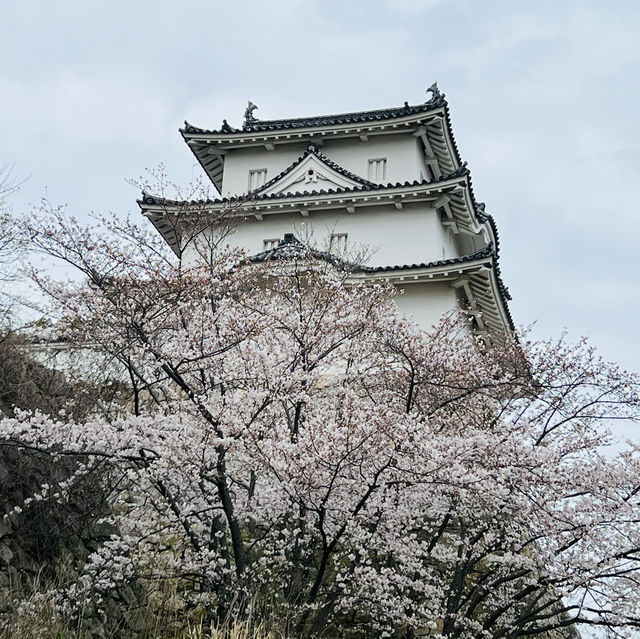 明石公園