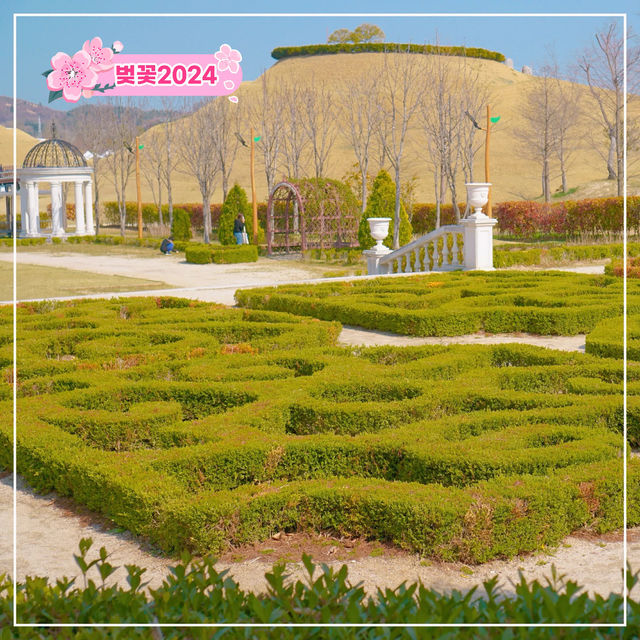 봄이 오면 생각 나는 그곳🌸