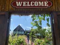 ร้านนาบ้านเราคาเฟ่