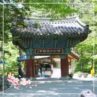 전북 부안 여행지 🚗 내소사 🪷