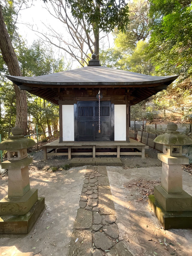 【貫井神社/東京都】湧水流れる美しい境内