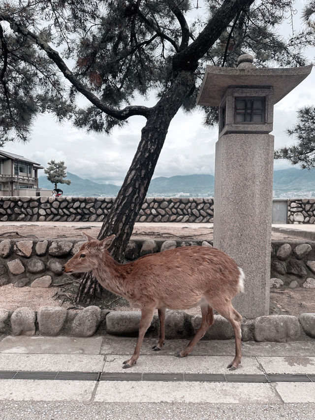 世界遺産　⛩厳島神社⛩