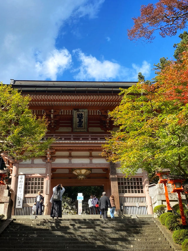 「貴船神社」、「鞍馬寺」：京都近郊小旅行，絕景雲珠櫻和滿山紅葉