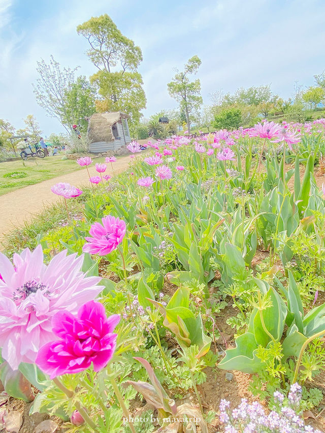 【神奈川/平塚】富士山がみえるガーデン