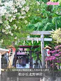 【松が丘北野神社/東京都】太田道灌が戦勝祈願した松が丘の神社