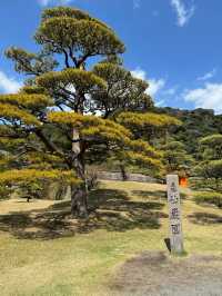 【鹿児島】桜島を眺めるならココしかない！