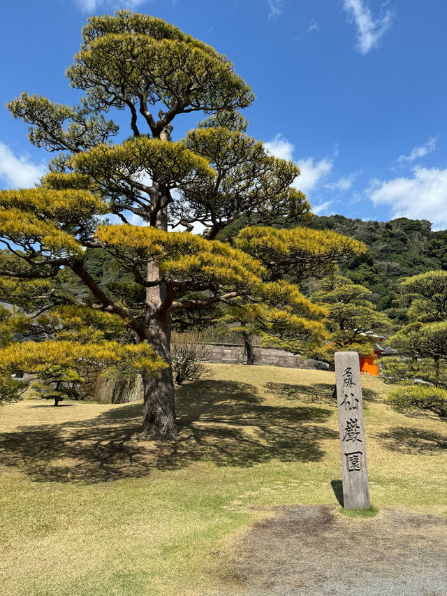 【鹿児島】桜島を眺めるならココしかない！
