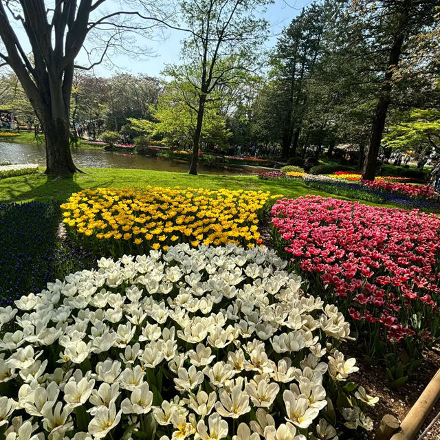 臺北樂活花園：自然景緻都市綠洲