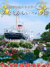 【神奈川】今が見頃‼️しかも無料🤩みなとみらい×バラ園で季節を感じよう✨