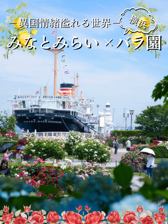 【神奈川】今が見頃‼️しかも無料🤩みなとみらい×バラ園で季節を感じよう✨