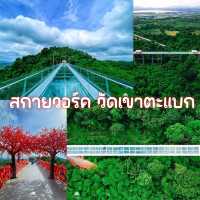 สกายวอร์ค วัดเขาตะแบก