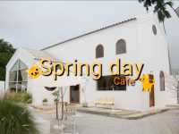 มาเล่นน้องแมวที่ Spring day cafe