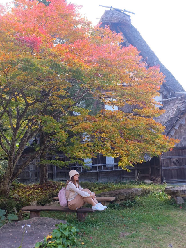 พิกัดเที่ยว Takayama 2 วัน 1 คืน และเมนูห้ามพลาด!!