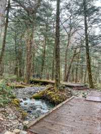 เดินเทรลในป่าสุดโรแมนติกที่ Kamikochi🌿❄️