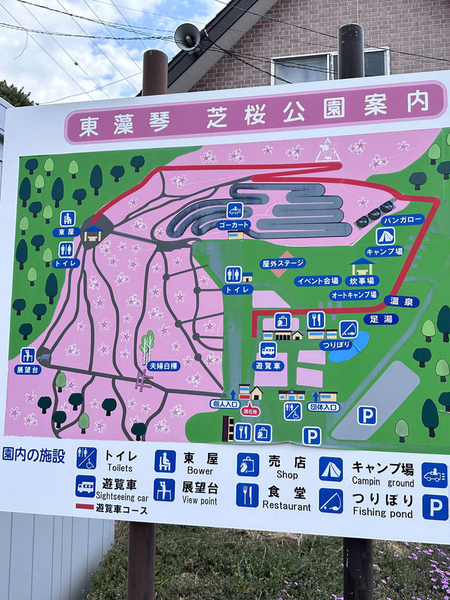 北海道最推薦的芝櫻公園💐