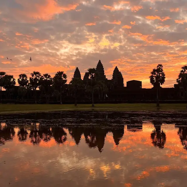 [Cambodia/Siem Reap] Angkor Wat.