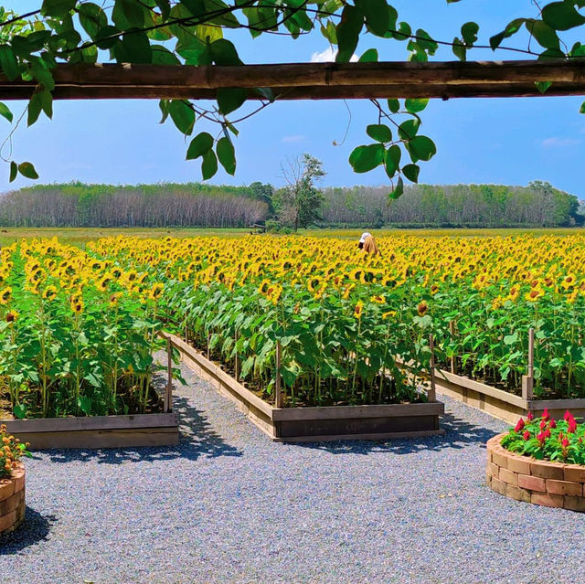 🌼 สวนลุงเวศน์ - #ตรัง 🌷🌻