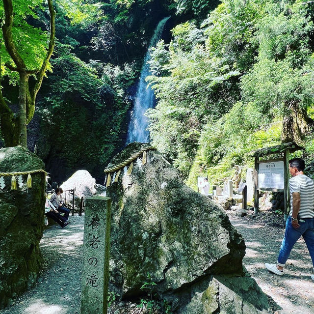 養老の滝