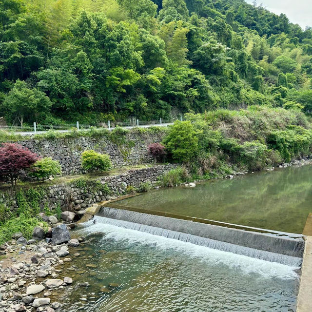 「湖北丹江口大壩景區：春季水利工程勝地，宏偉建築與櫻花景緻令人嘆為觀止」