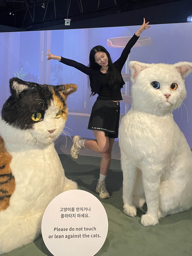 당장 이번 주말에 방문해야할 국립민속박물관의 전시회 추천!
