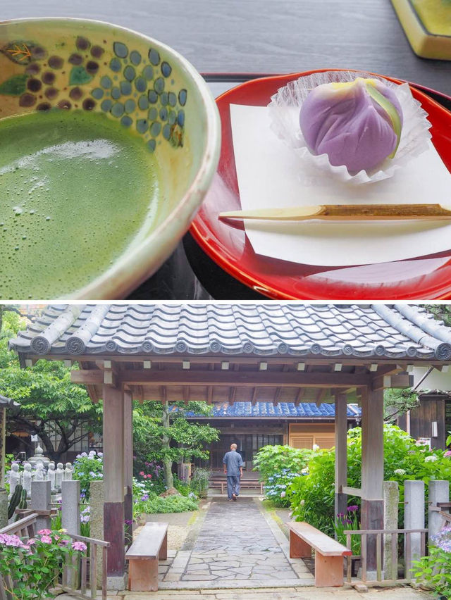 【三重・志摩】今がちょうど見頃！あじさい寺