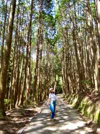 부산에서 배타고 가는 일본 여행 📍대마도