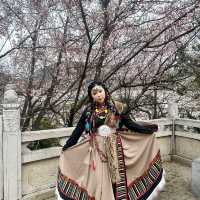Photoshoot at Shangri-La Wearing Tibetan Costume 