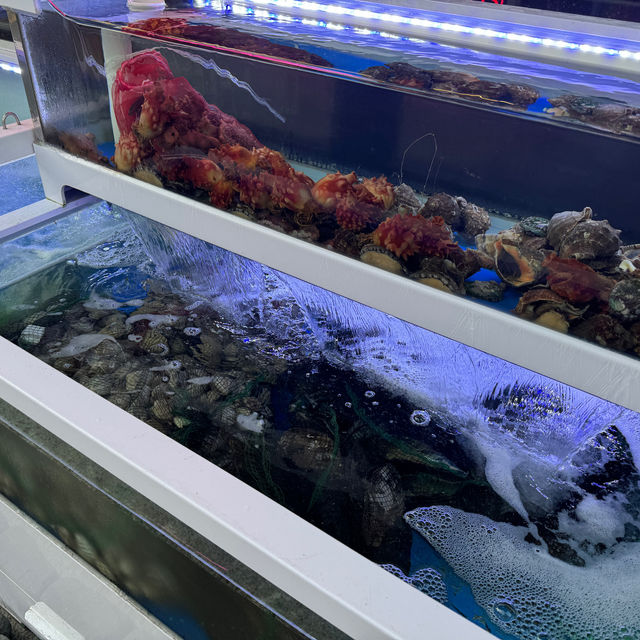 압구정 조개구이 맛집 하와이조개