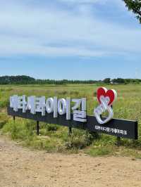 대부도 가면 꼭 타야할 바다향기 테마파크 전동바이크 🏍️
