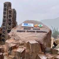 A Must-Visit Hidden Gem in Hong Kong😃