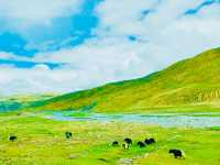 The natural splendor of Tibet leaves a lasting impression🇨🇳