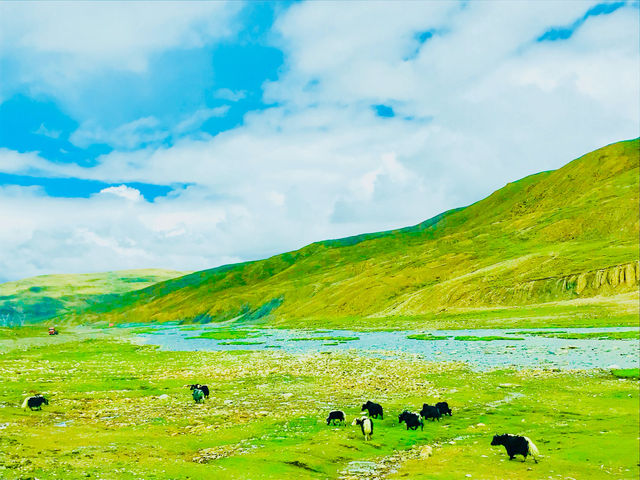The natural splendor of Tibet leaves a lasting impression🇨🇳