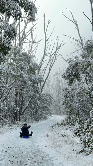 Lake Mountain, Victoria Australia 