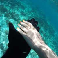 Kota Kinabalu: Diving into Adventure and Serenity in Sabah