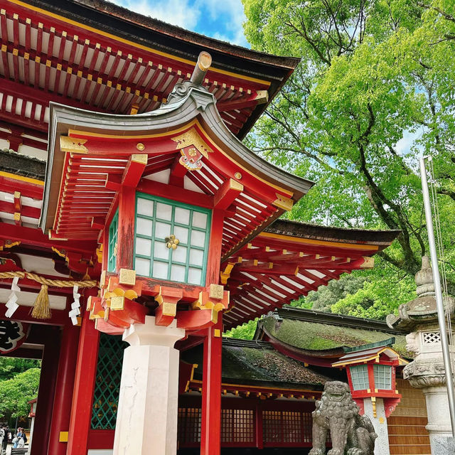 小網神社⛩️ 靜謐禪風